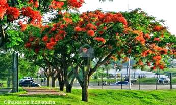 Imagem 6: Terreno Residencial para Venda em Indaiatuba, Jardim Esplanada II