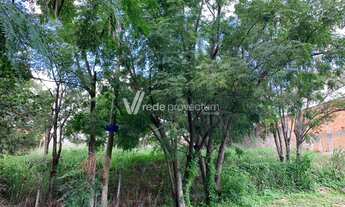 Imagem 4: Campinas - Terreno Padrao - Bairro das Palmeiras