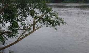 Imagem: Chacara em santo Antônio/ barra do arica