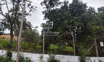 Imagem 4: 1.000 m², excelente topografia, pomar e bela vista !!