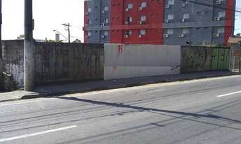 Imagem 3: Terreno para locação, Vila Amorim, Suzano