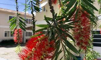 Imagem: ALUGO 02 QUARTOS COM PISCINA, QUADRA DE