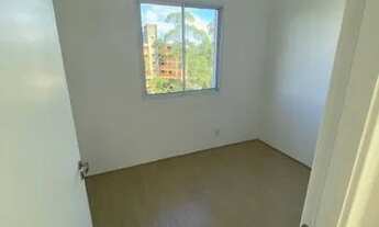 Imagem 3: Apartamento 42m - Novo