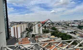 Imagem 6: São Paulo - Apartamento Padrão - VILA MATILDE