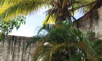 Imagem 3: Alugo casa no residencial pinheiros