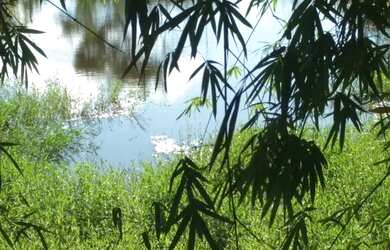 Imagem 3: Lindas fazendinhas com 20.000 m². Município de Cordisburgo