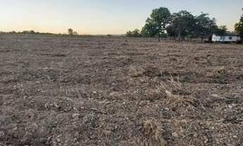 Imagem 3: FAZENDA BEIRA DE RIO 84 HA