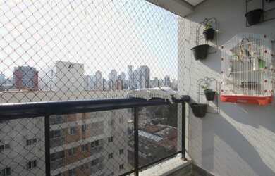 Imagem 5: SAO PAULO - Apartamento Padrão - VILA GUMERCINDO