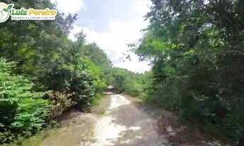 Imagem 4: FAZENDA Á VENDA EM PARAGOMINAS - PA - 13.068 HECTARES (DUPLA APTIDÃO