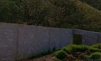 Imagem 4: Terreno para chácara