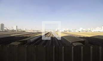 Imagem 5: Apartamento para Aluguel - Cambuci, 2 Quartos, 34 m2