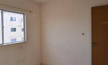 Imagem 4: Apartamento satelite aluguel