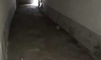 Imagem 7: Galpão/Depósito/Armazém para aluguel possui 250 metros quadrados em São João - Jacareí - S