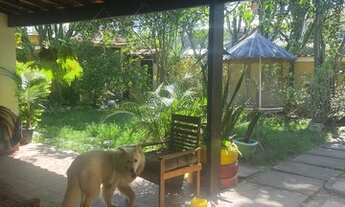 Imagem 6: Casa para alugar Anil Jacarepaguá