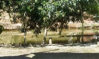 Imagem 6: Sítio Chácara com venda por R$600.000