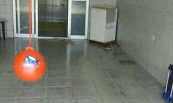 Imagem 3: Casa solta paulista