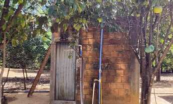 Imagem 7: Chácara de 10.000 metros em Piripiri