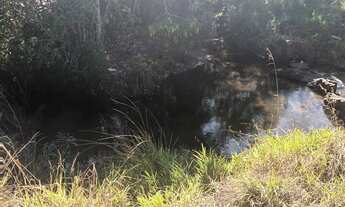 Imagem 6: Linda chácara na DF 495 a 500 mts do Ribeiro saia velha