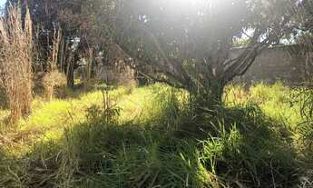 Imagem 2: Linda chácara na DF 495 a 500 mts do Ribeiro saia velha