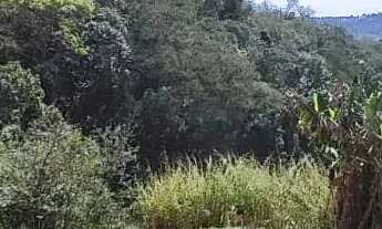 Imagem 2: Imóvel para venda tem 500 metros quadrados em Vila São Domingos - São Roque - SP