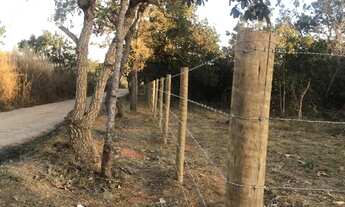 Imagem 6: Chácaras de 5.000 m2, Planas, Cerca tratada, em Taboquinha a 30 klm de Braslandia