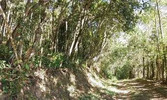 Imagem 5: Terrenao com plato 20 de entrada