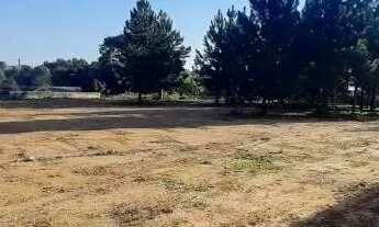 Imagem 2: ÁREA AV RUI BARBOSA CENTRO