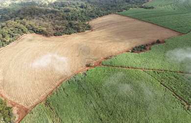 Imagem 2: Área rural de 96,15 hectares à venda - Jardinópolis