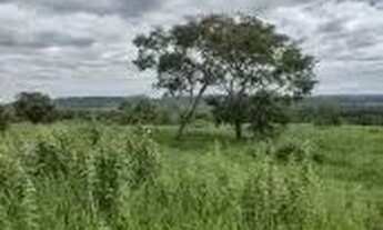 Imagem 4: Fazenda c/ 149he, c/ 80he aberto, terra mista, 70km de Cuiabá-MT