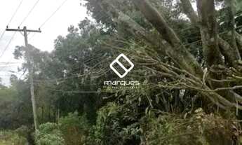 Imagem: Terreno Pelotas RS brasil