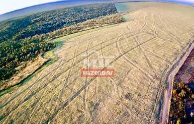 Imagem: Fazenda 103 Alqueires (500 Hectares) Doverlândia