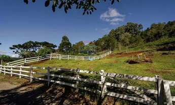 Imagem 7: Area de terra com 52 mil metros a venda