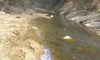 Imagem 7: Fazenda a venda em Sobradinho dos Melos