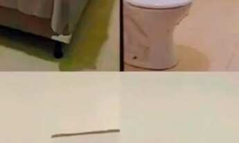 Imagem 6: Flat por temporada