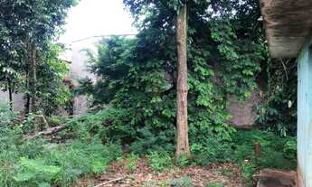 Imagem 2: Terrenos Padrão em Sertãozinho