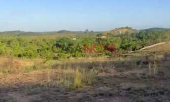 Imagem 5: Sítio com 40 tarefas em Itaporanga