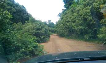 Imagem 3: Terreno / Áreas 204 Hectares em Novo Airão Amazonas