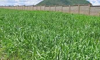 Imagem 7: Lote em Rifaina oportunidade 450 m2