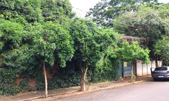 Imagem: Terrenos Padrão em Sertãozinho