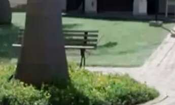 Imagem 3: Térrea para venda tem 82 metros quadrados com 3 quartos em Capuava - Goiânia - GO