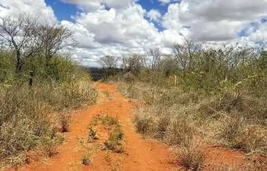 Imagem 3: Chácara a 21 km de Montes Claros