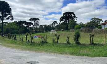 Imagem: TERRENO COM 768m² EM CAMPO LARGO