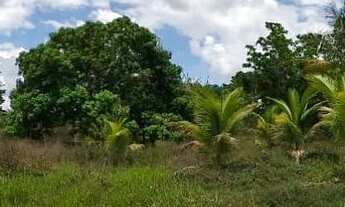 Imagem 3: Terreno no pov saúde em Santana São Francisco