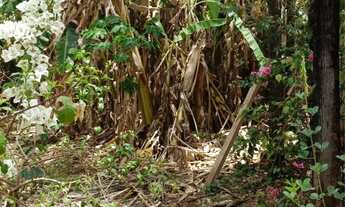 Imagem 5: Chacara no pontakayana trindade