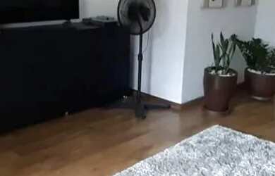 Imagem 4: Casa em Rua Castelo Guimarães - Castelo - Belo Horizonte/MG