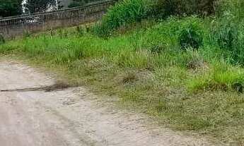 Imagem 6: Área à venda, 85600 m² por R$ 25.000.000,00 - Vila Rivabem - Campo Largo/PR