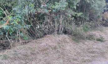 Imagem 3: Chacara Caminho do Vinho, Colônia Murici - São José dos Pinhais - PR