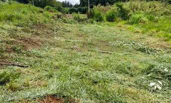 Imagem 4: Lote 26 setembro avenida principal