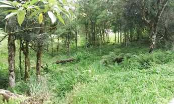 Imagem 3: Lote em vivendas do arvoredo - Carniel - Gramado/RS