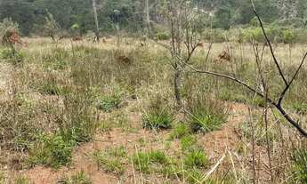 Imagem 2: OPORTUNIDADE ÚNICA: TERRENOS À VENDA NO INTERIOR DE SÃO PAULO